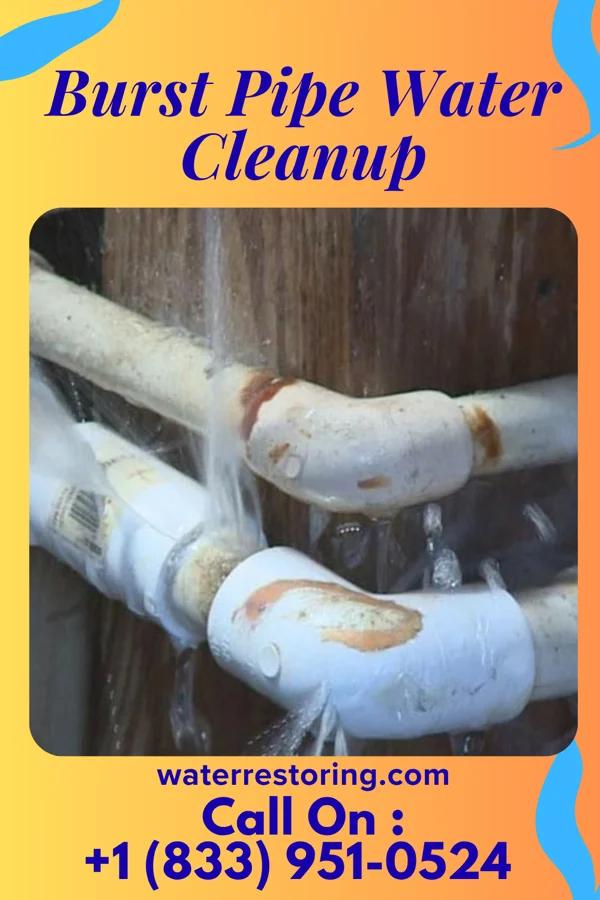Burst Pipe Water Cleanup in Abney Crossroads, SC
