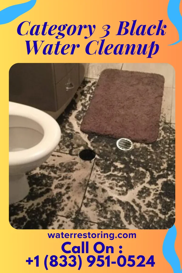 Category 3 Black Water Cleanup in Abney Crossroads, SC