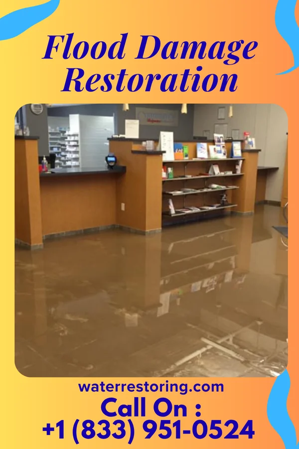 Flood Damage Restoration in Abney Crossroads, SC