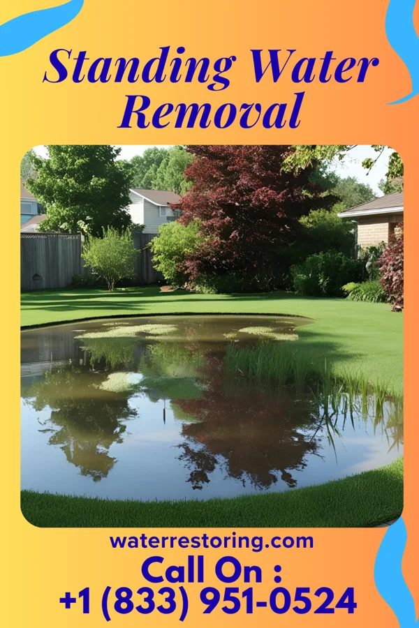 Standing Water Removal in Abney Crossroads, SC